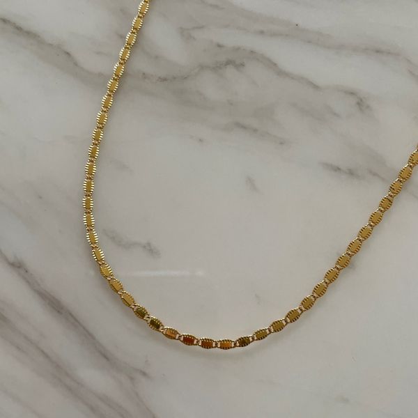 Gold Coin Necklace 小金幣鍊 