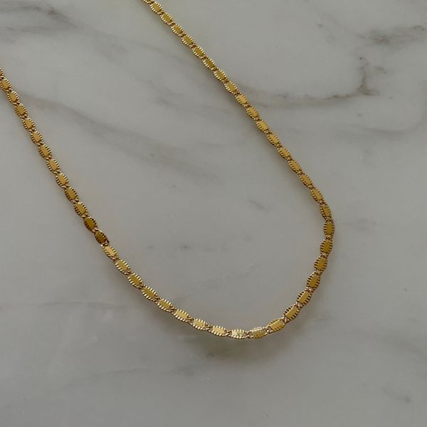 Gold Coin Necklace 小金幣鍊 