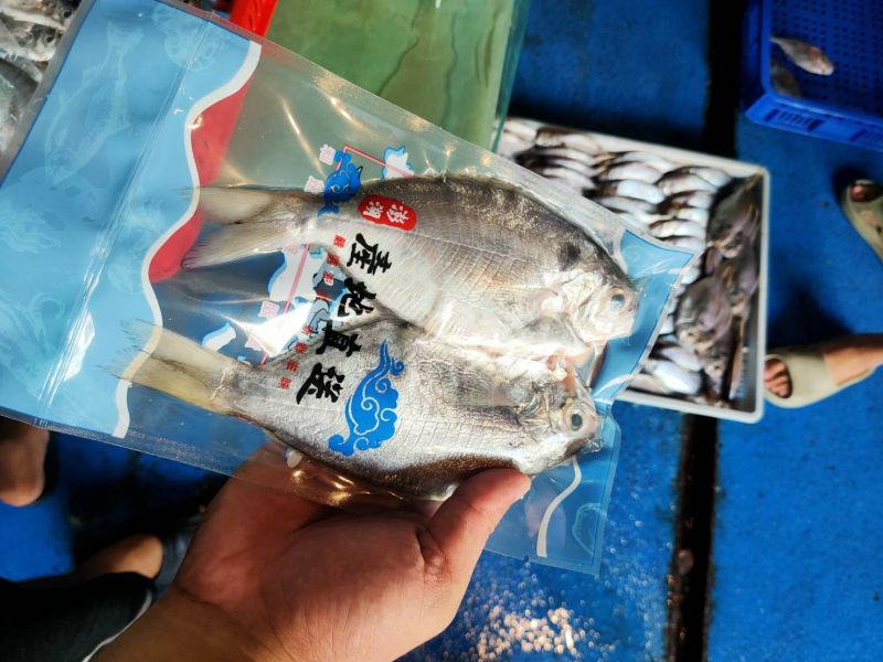澎湖現流大肉魚仔 2尾裝/250克 5包組特價中..(內臟已處理) 澎湖現流超大肉魚,大肉魚,超大肉魚,澎湖超大肉魚,澎湖大肉魚,肉魚