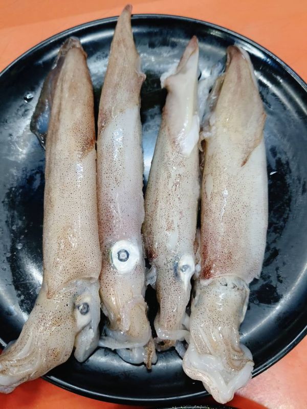 中秋節澎湖燒烤套組早鳥優惠價..快喔~限量20組 