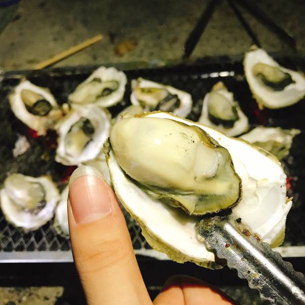 產季限定澎湖帶殼牡蠣(大) 搶鮮吃10斤組 免運費,澎湖帶殼牡蠣,澎湖牡蠣,澎湖蚵,澎湖蚵仔,城前牡蠣,講美牡蠣,帶殼牡蠣,澎湖蚵仔,城前鮮蚵,講美鮮蚵