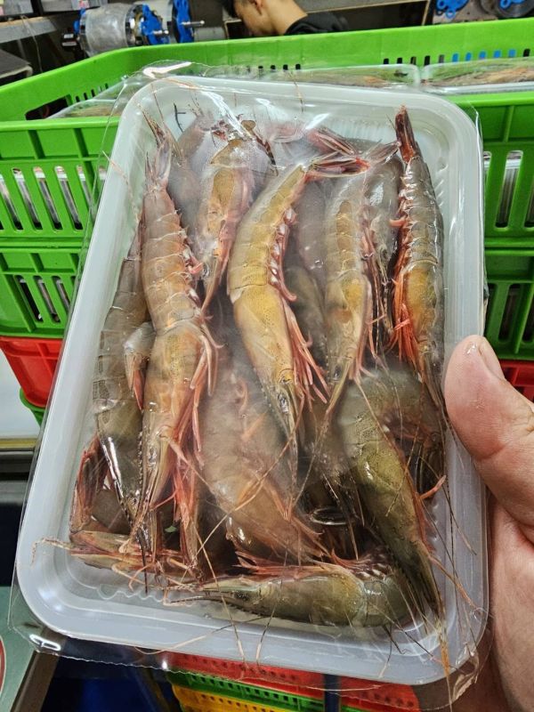 澎湖現流野生大劍蝦 250克裝 簡單煮就好吃~鮮甜海味Q彈脆口 澎湖野生大劍蝦,大劍蝦,劍蝦,澎湖劍蝦,現流劍蝦,澎湖大劍蝦