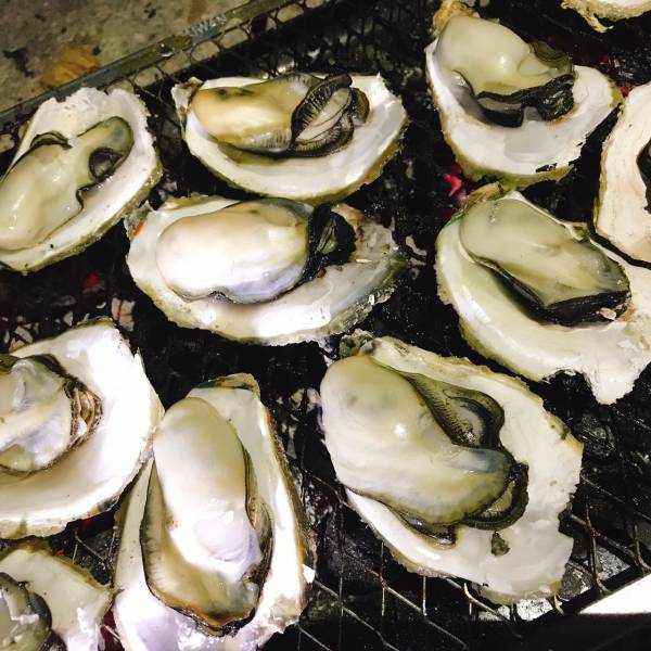 產季限定澎湖帶殼牡蠣(大) 搶鮮吃10斤組 免運費,澎湖帶殼牡蠣,澎湖牡蠣,澎湖蚵,澎湖蚵仔,城前牡蠣,講美牡蠣,帶殼牡蠣,澎湖蚵仔,城前鮮蚵,講美鮮蚵