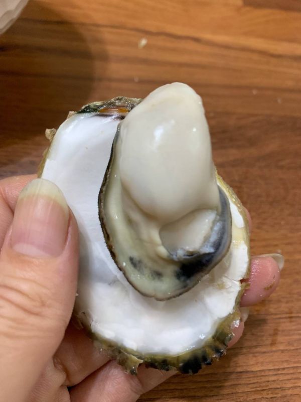 產季限定澎湖帶殼牡蠣(大) 搶鮮吃10斤組 免運費,澎湖帶殼牡蠣,澎湖牡蠣,澎湖蚵,澎湖蚵仔,城前牡蠣,講美牡蠣,帶殼牡蠣,澎湖蚵仔,城前鮮蚵,講美鮮蚵