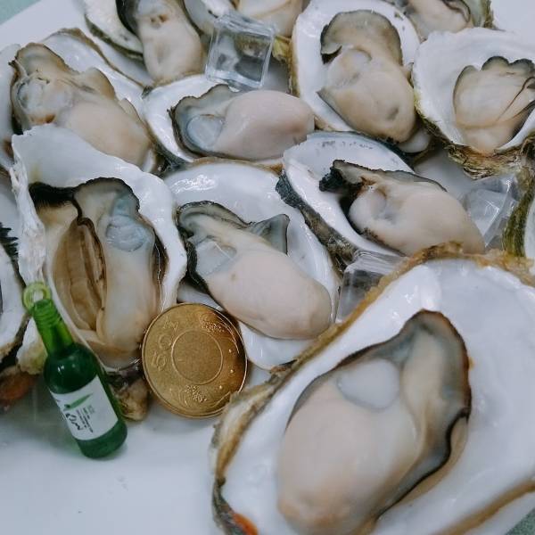 產季限定澎湖帶殼牡蠣(大) 搶鮮吃10斤組 免運費,澎湖帶殼牡蠣,澎湖牡蠣,澎湖蚵,澎湖蚵仔,城前牡蠣,講美牡蠣,帶殼牡蠣,澎湖蚵仔,城前鮮蚵,講美鮮蚵