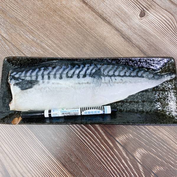 超大片頂級挪威薄鹽鯖魚/片 好吃又便宜~ 挪威薄鹽鯖魚,鯖魚,鯖魚片,挪威鯖魚,挪威鯖魚片,薄鹽鯖魚片,