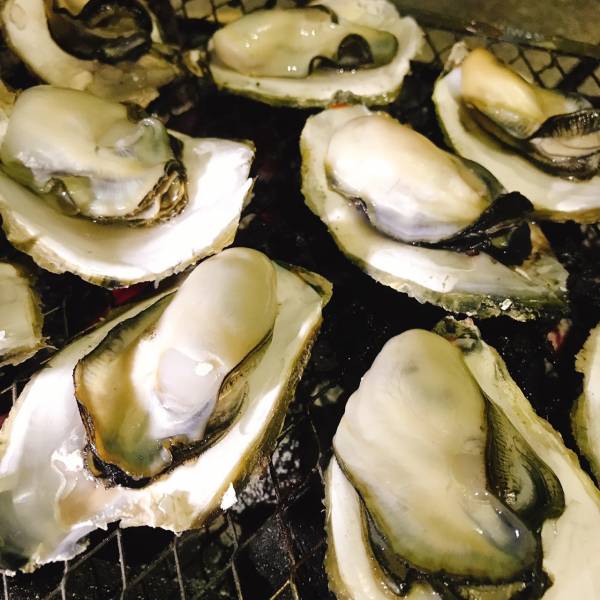 產季限定澎湖帶殼牡蠣(大) 搶鮮吃 20斤組.30斤組 澎湖帶殼牡蠣,澎湖牡蠣,澎湖蚵仔,城前牡蠣,講美牡蠣,帶殼牡蠣,澎湖蚵仔,城前鮮蚵,講美鮮蚵,通樑牡蠣,鮮活牡蠣