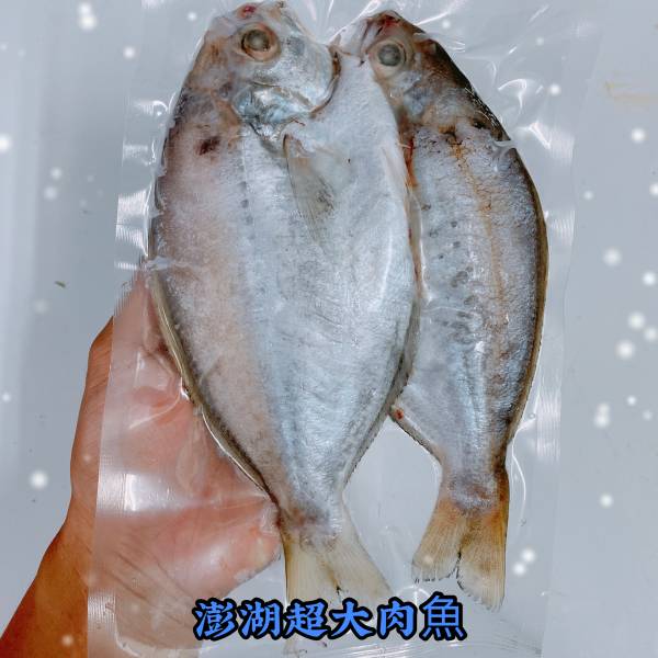 澎湖現流大肉魚仔 2尾裝/250克 5包組特價中..(內臟已處理) 澎湖現流超大肉魚,大肉魚,超大肉魚,澎湖超大肉魚,澎湖大肉魚,肉魚