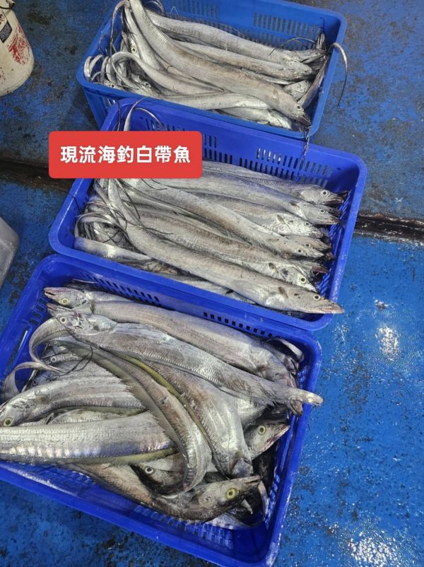 澎湖現流白帶魚切片5包送1包 澎湖現流 白帶魚
