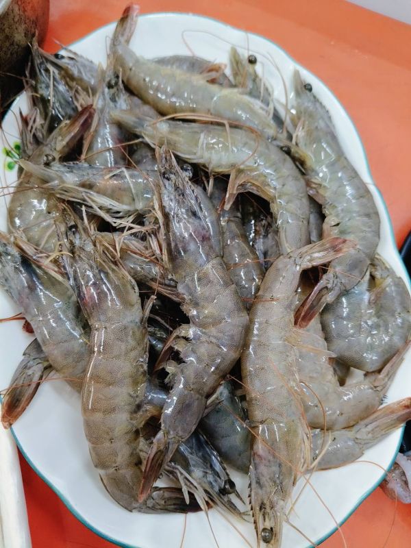 中秋節澎湖燒烤套組早鳥優惠價..快喔~限量20組 
