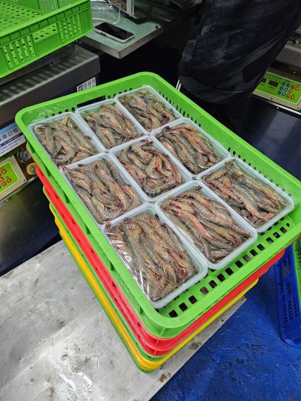 澎湖現流野生大劍蝦 250克裝 簡單煮就好吃~鮮甜海味Q彈脆口 澎湖野生大劍蝦,大劍蝦,劍蝦,澎湖劍蝦,現流劍蝦,澎湖大劍蝦