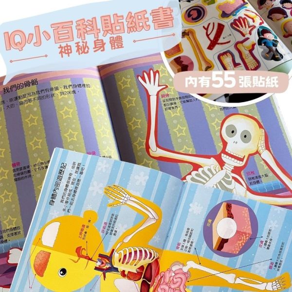 巧育 IQ小百科貼紙書 巧育 IQ小百科貼紙書
