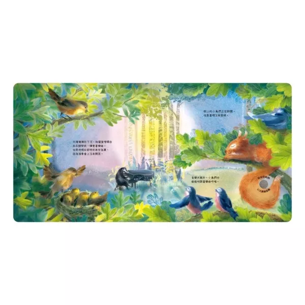禾流/森林裡的音樂大師-溫馨的獨奏會、四季演奏會、森林裡的動物音樂會-聽見巴哈、森林裡的動物音樂會-聽見貝多芬 禾流/森林裡的音樂大師-溫馨的獨奏會、四季演奏會、森林裡的動物音樂會-聽見巴哈、森林裡的動物音樂會-聽見貝多芬