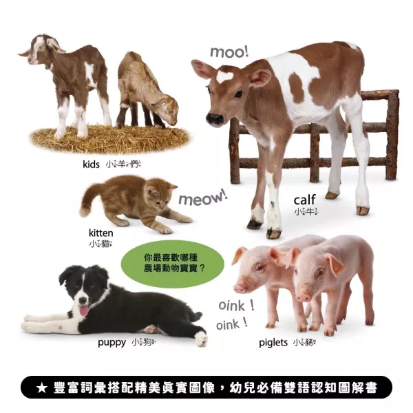 小牛津/】DK-my first系列-共4冊(動物/農場/大自然/識字)~英國授權-親子共讀幼幼認知書-中英點讀 小牛津/】DK-my first系列-共4冊(動物/農場/大自然/識字)~英國授權-親子共讀幼幼認知書-中英點讀