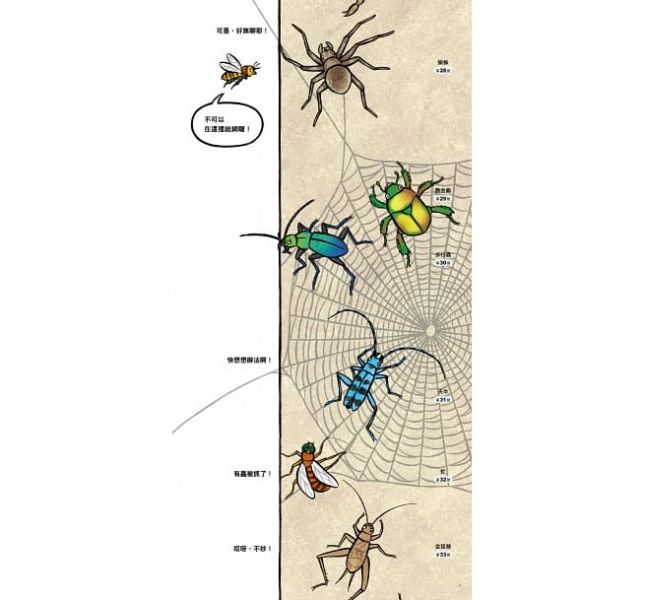 小魯/昆蟲在排什麼呢？ 