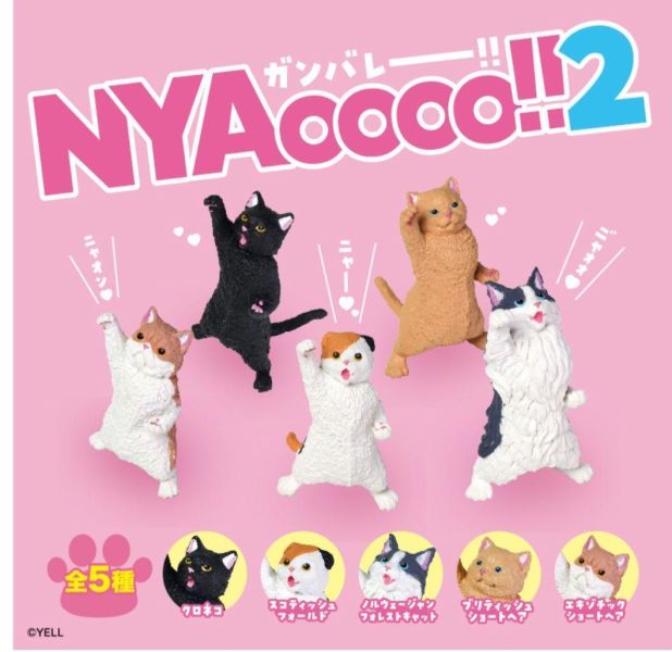 3月扭蛋 NYAoooo 2 全5種 扭蛋 NYAoooo 2 全5種
