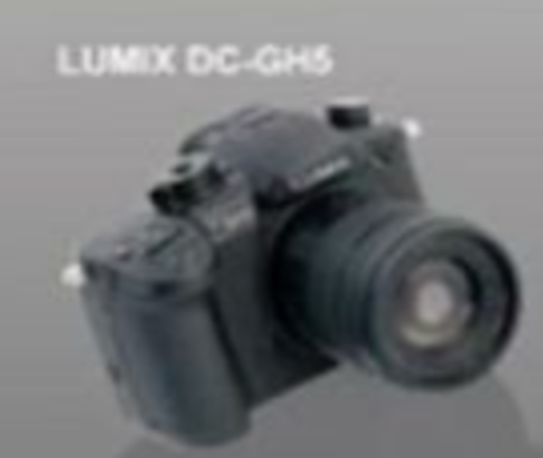 扭蛋 LUMIX 迷你公仔 5月 扭蛋 寶可夢 不開心小表情 公仔