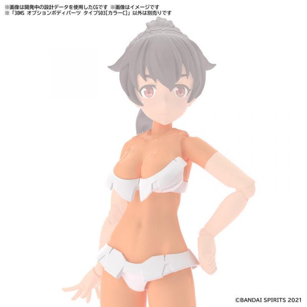 30MS 身體配件套組 TYPE S03 [顏色C] 30MS 身體配件套組 TYPE S03 [顏色C]