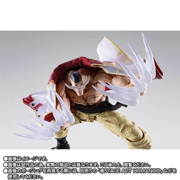 6月預購 BANDAI S.H.F 魂商店 S.H.Figuarts 航海王 海賊王 愛德華・紐蓋特 白鬍子 馬林福特頂上戰爭 1210 BANDAI S.H.F 魂商店 S.H.Figuarts 航海王 海賊王 愛德華・紐蓋特 白鬍子 馬林福特頂上戰爭 1210