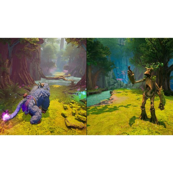 Nintendo 任天堂 NS2 SWITCH2 雙影奇境 幻裂奇境 台灣代理版 實體盒裝序號中文版 Nintendo 任天堂 NS2 SWITCH2 雙影奇境 幻裂奇境 台灣代理版 實體盒裝序號中文版