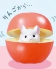 找到你了!小龍貓 扭蛋 轉蛋 全5款 找到你了!小龍貓 扭蛋 轉蛋 全5款