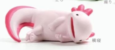 虛無蠑螈 第二彈 一套5款  蠑螈 扭蛋 轉蛋 虛無蠑螈 第二彈 一套5款  蠑螈 扭蛋 轉蛋