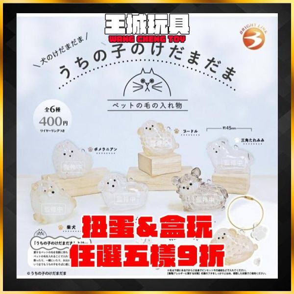扭蛋 我家毛孩的毛毛球──狗狗篇 全6種 整套販售 3月 扭蛋 我家毛孩的毛毛球──狗狗篇 全6種 整套販售