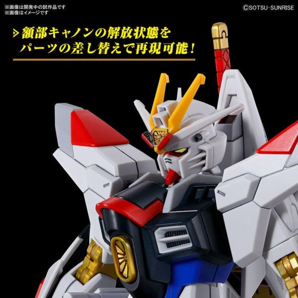 BANDAI HG 1/144 鋼彈SEED FREEDOM 全能攻擊自由鋼彈 5066384 BANDAI HG 1/144 鋼彈SEED FREEDOM 全能攻擊自由鋼彈 5066384