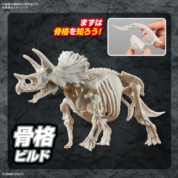 新恐龍組裝模型 三角龍 三觭龍 5064263 新恐龍組裝模型 三角龍 三觭龍 5064263