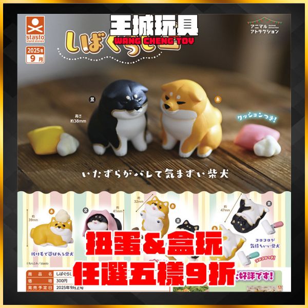 stasto扭蛋 柴犬的日常生活第2彈 stasto扭蛋 柴犬的日常生活第2彈