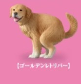 T-Arts 扭蛋 狗狗拉屎2 轉蛋 扭蛋 盒玩 T-Arts 扭蛋 狗狗拉屎2 轉蛋 扭蛋 盒玩