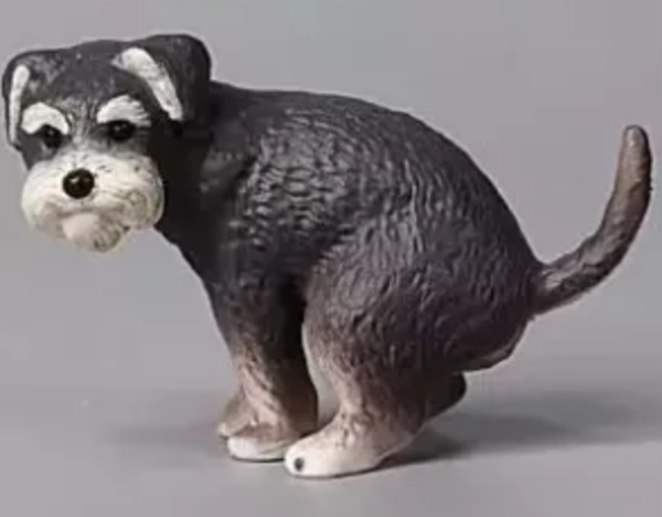 扭蛋 狗狗拉屎 3  4月 扭蛋 狗狗拉屎 3  4月