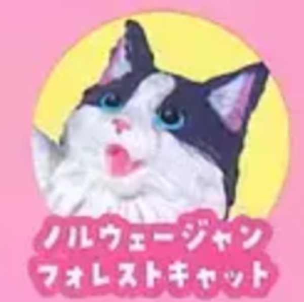 3月扭蛋 NYAoooo 2 全5種 扭蛋 NYAoooo 2 全5種