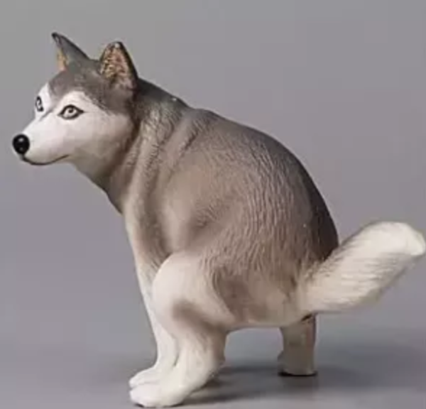 扭蛋 狗狗拉屎 3  4月 扭蛋 狗狗拉屎 3  4月