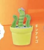 YELL 轉蛋 扭蛋 植絨仙人掌動物園 仙人掌 植絨 盆栽 造景 動物園 公仔 全5款 YELL 轉蛋 扭蛋 植絨仙人掌動物園 仙人掌 植絨 盆栽 造景 動物園 公仔 全5款