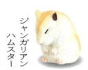 YELL 轉蛋 扭蛋 日版 鞠躬行禮動物 敬禮 行禮 鞠躬動物 P2 一套 YELL 轉蛋 扭蛋 日版 鞠躬行禮動物 敬禮 行禮 鞠躬動物 P2 一套