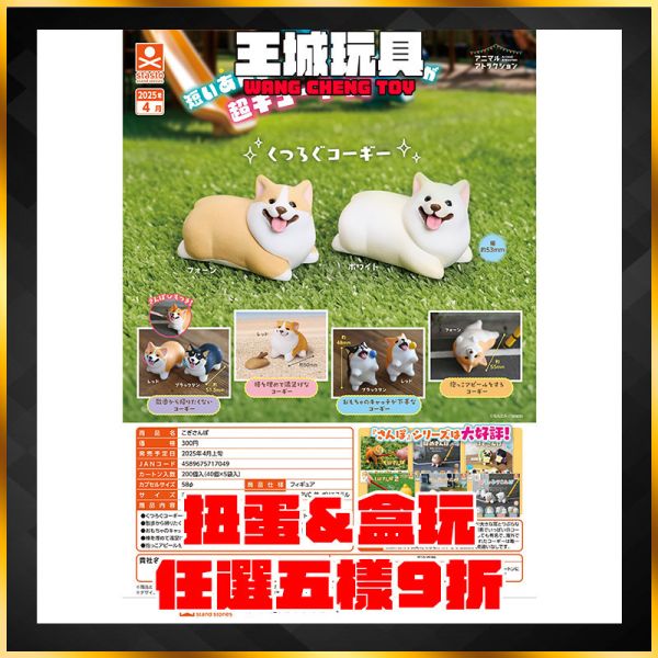 stasto扭蛋 不願回家的短腿柯基 散步小狗潮玩 stasto扭蛋 不願回家的短腿柯基 散步小狗潮玩