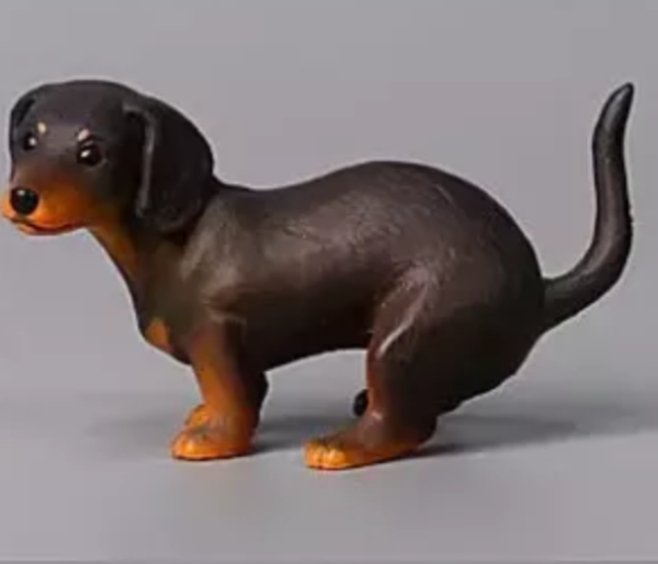 扭蛋 狗狗拉屎 3  4月 扭蛋 狗狗拉屎 3  4月