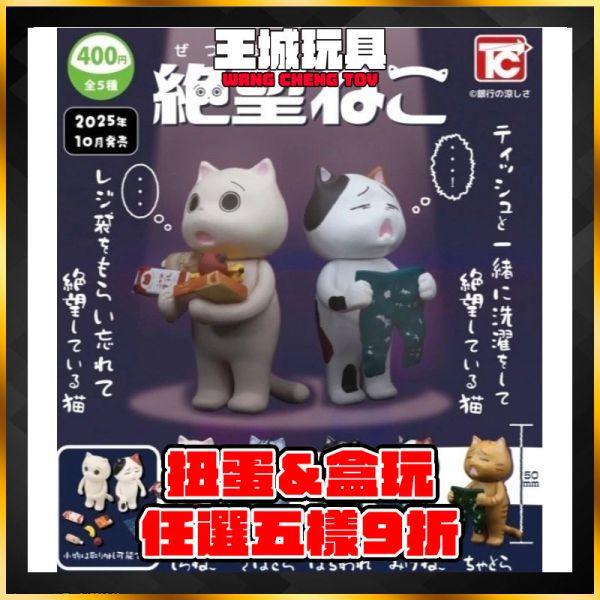 絕望貓 轉蛋 扭蛋 TOYS CABIN 貓 動物 貓咪 顏藝 絕望貓 轉蛋 扭蛋 TOYS CABIN 貓 動物 貓咪 顏藝