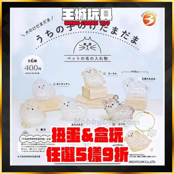 3月扭蛋 我家毛孩的毛毛球──狗狗篇 全6種 整套販售 扭蛋 我家毛孩的毛毛球──狗狗篇 全6種 整套販售