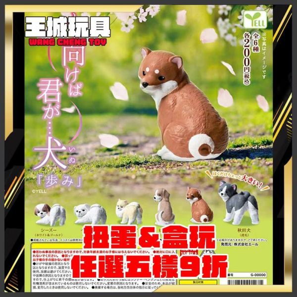 扭蛋 回頭狗狗 公仔 全6種 3月 扭蛋 回頭狗狗 公仔 全6種