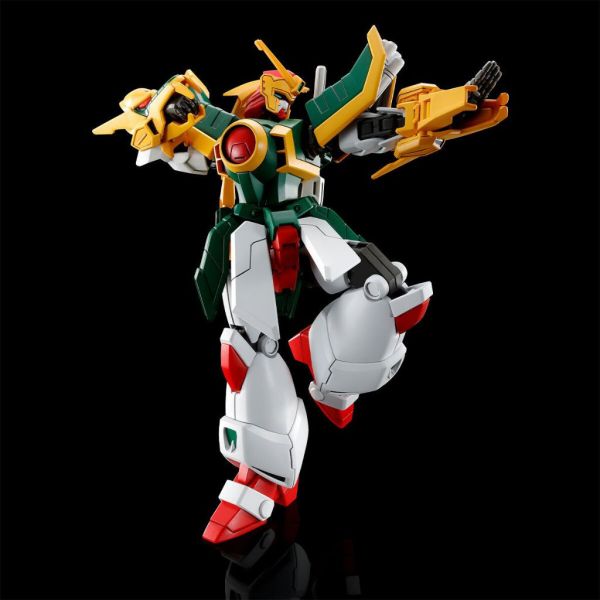 PB魂限 HG 天龍鋼彈 飛龍鋼彈 機動武鬥傳G PB魂限 HG 天龍鋼彈 飛龍鋼彈 機動武鬥傳G