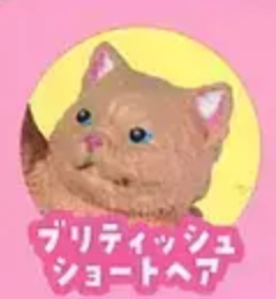 3月扭蛋 NYAoooo 2 全5種 扭蛋 NYAoooo 2 全5種