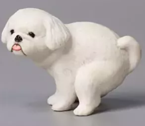 扭蛋 狗狗拉屎 3  4月 扭蛋 狗狗拉屎 3  4月