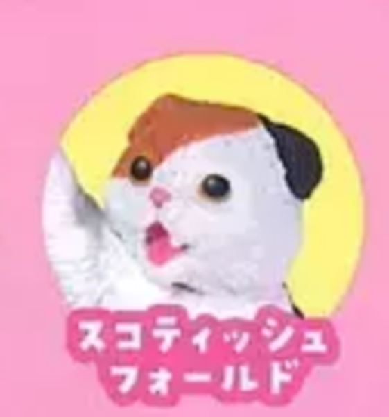 3月扭蛋 NYAoooo 2 全5種 扭蛋 NYAoooo 2 全5種