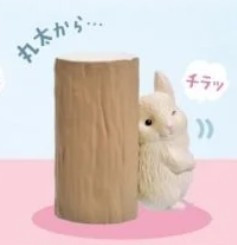 找到你了!小龍貓 扭蛋 轉蛋 全5款 找到你了!小龍貓 扭蛋 轉蛋 全5款