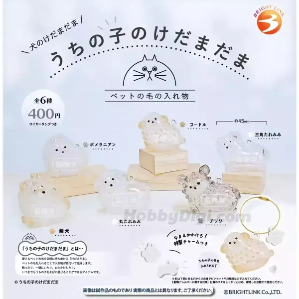 3月扭蛋 我家毛孩的毛毛球──狗狗篇 全6種 整套販售 扭蛋 我家毛孩的毛毛球──狗狗篇 全6種 整套販售