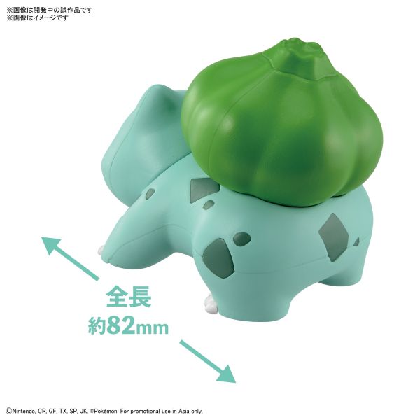 POKEPLA 13 妙蛙種子 精靈寶可夢 快組版 Bulbasaur 神奇寶貝 POKEPLA 13 妙蛙種子 精靈寶可夢 快組版 Bulbasaur 神奇寶貝