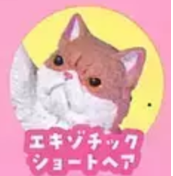 3月扭蛋 NYAoooo 2 全5種 扭蛋 NYAoooo 2 全5種