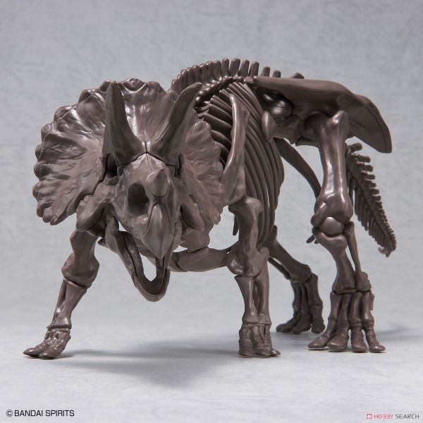 萬代 BANDAI 組裝模型 1/32 幻想骨骼系列 三角龍 